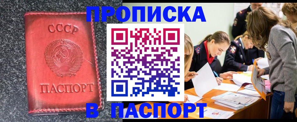 прописка для школы в Торжоке